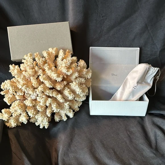 Christian Dior Sunny’s Full Inclusion